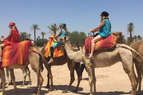 Fes desert tours 3 days back to Fes